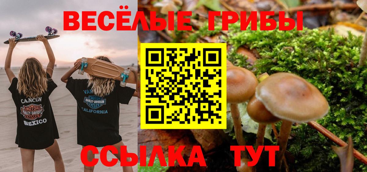 Псилоцибиновые грибы MAGIC MUSHROOMS  Вход с VPN  купить  цена  Касимов  Псилоцибиновые грибы ЛСД 